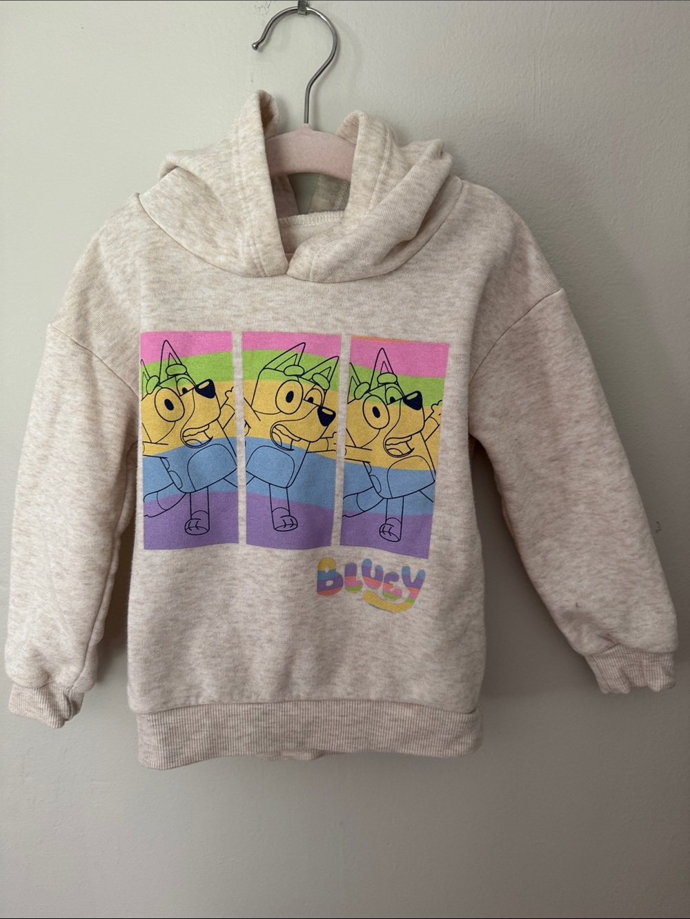 Kids' Cream Hoodie with Colorblock Bluey Graphic